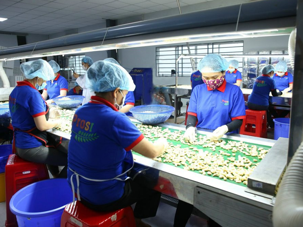 Who are the two biggest importers of Vietnam’s cashew?