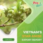 Vietnam’s Star Anise Export Analysis Report: A Valuable Economic Opportunity
