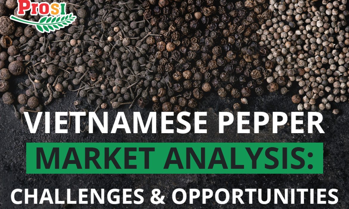 Vietnamese Pepper Market Analysis: Challenges and Opportunities