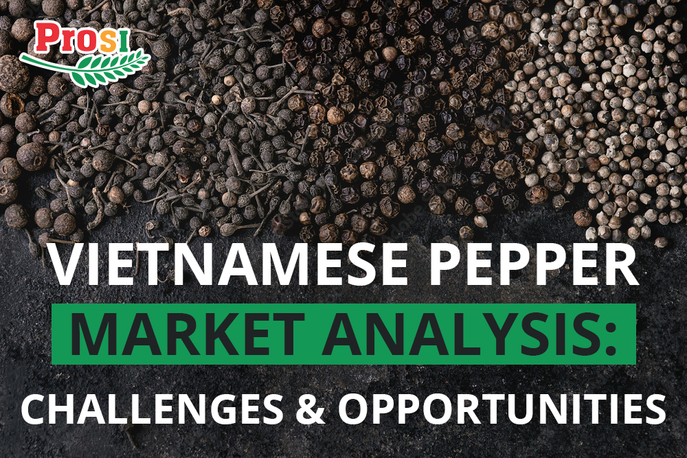 Vietnamese Pepper Market Analysis: Challenges and Opportunities