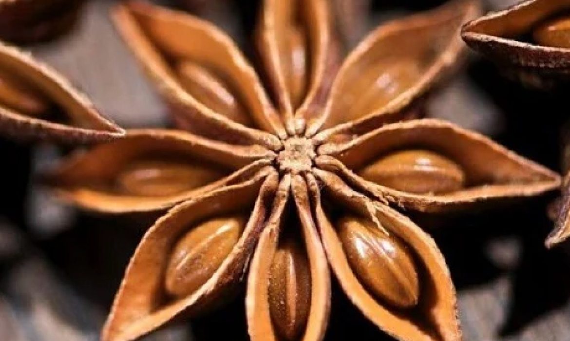 Overview of Vietnamese Star Anise