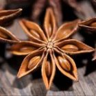 Overview of Vietnamese Star Anise