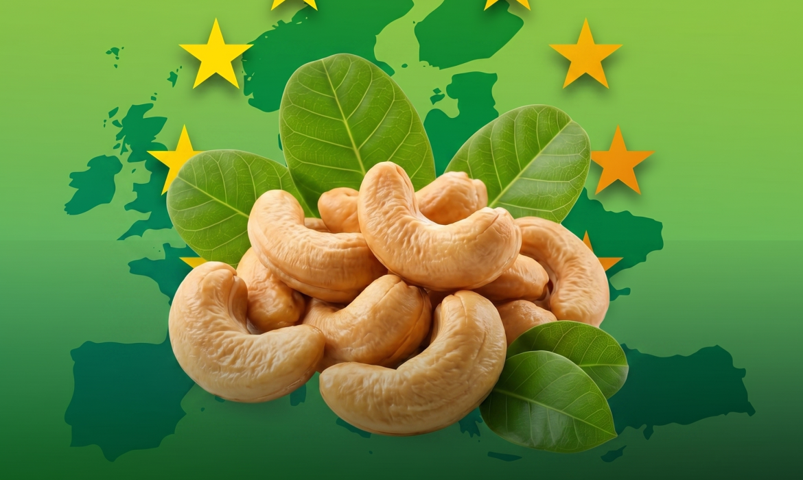 Entering the European market for cashew nuts