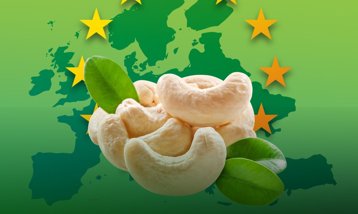 Entering the European market for cashew nuts
