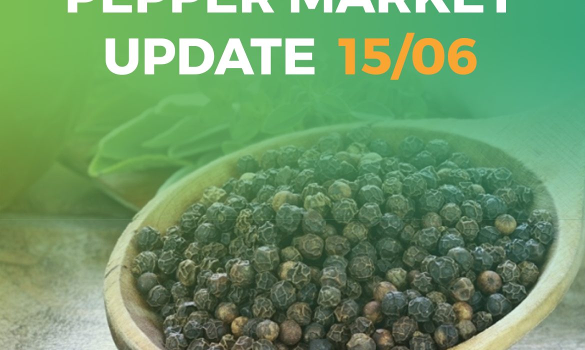 Pepper Prices Soar, Creating Challenges for Businesses & Opportunities for Farmers