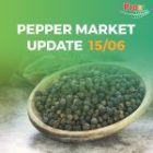 Pepper Prices Soar, Creating Challenges for Businesses & Opportunities for Farmers