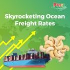 Skyrocketing Ocean Freight Rates: A New Crisis for Importers and Exporters