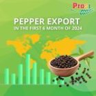 Vietnam Pepper Exports: Strong Performance Amidst Challenges in H1 2024