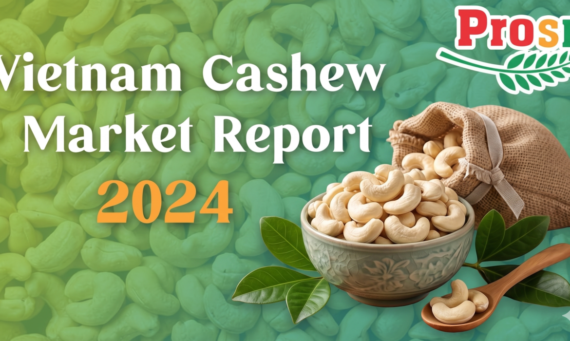 Overview of the Vietnamese Cashew Industry