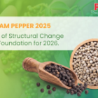 Vietnam Pepper 2025: A Year of Structural Change and the Foundation for 2026.