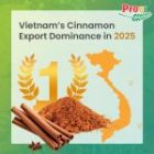 Scaling the Summit: Vietnam’s Cinnamon Export Dominance in 2025