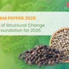 Vietnam Pepper 2025: A Year of Structural Change and the Foundation for 2026.