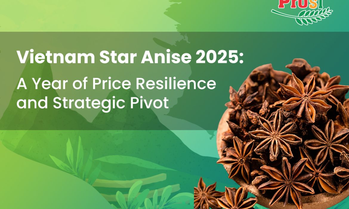 Vietnam Star Anise 2025: A Year of Price Resilience and Strategic Pivot