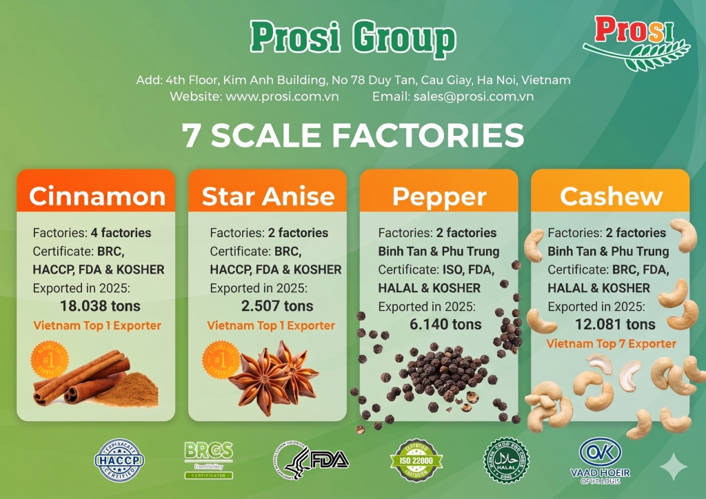Strategic Resilience and Record-Breaking Milestones: Prosi Group’s 2025 Annual Performance Review