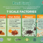 Strategic Resilience and Record-Breaking Milestones: Prosi Group’s 2025 Annual Performance Review