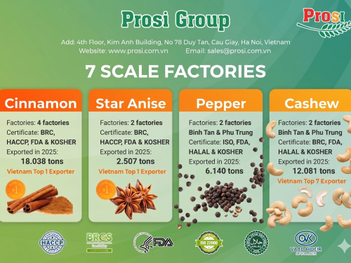 Strategic Resilience and Record-Breaking Milestones: Prosi Group’s 2025 Annual Performance Review