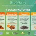 Strategic Resilience and Record-Breaking Milestones: Prosi Group’s 2025 Annual Performance Review