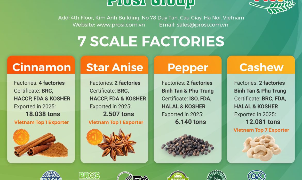 Strategic Resilience and Record-Breaking Milestones: Prosi Group’s 2025 Annual Performance Review