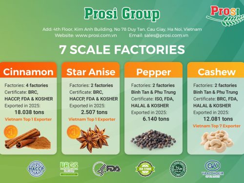 Strategic Resilience and Record-Breaking Milestones: Prosi Group’s 2025 Annual Performance Review